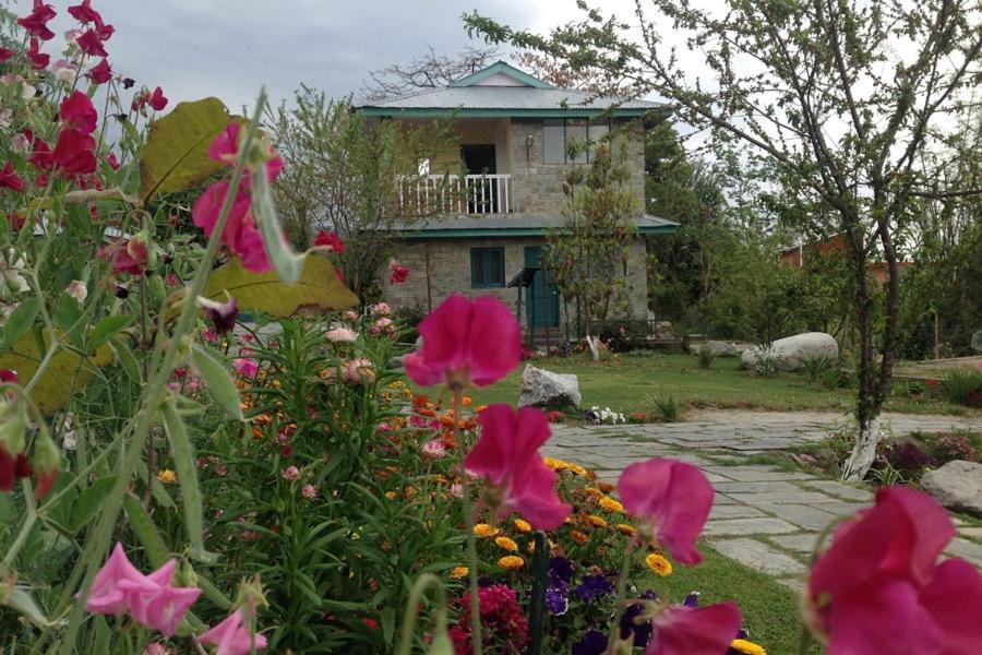 Nagri Resort Pālampur Extérieur photo