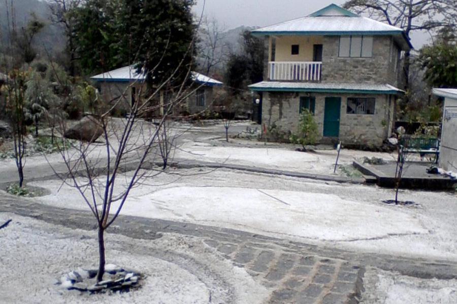 Nagri Resort Pālampur Extérieur photo
