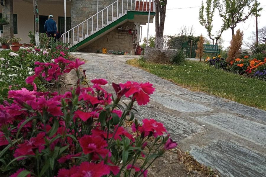 Nagri Resort Pālampur Extérieur photo