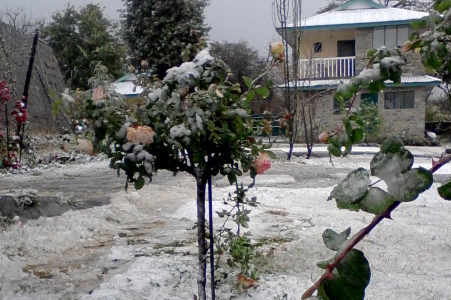 Nagri Resort Pālampur Extérieur photo