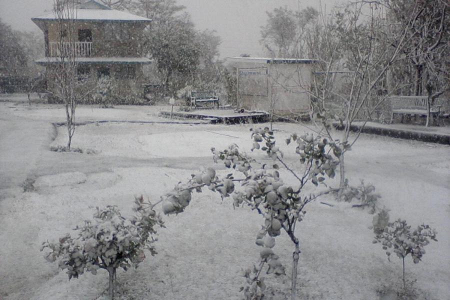Nagri Resort Pālampur Extérieur photo