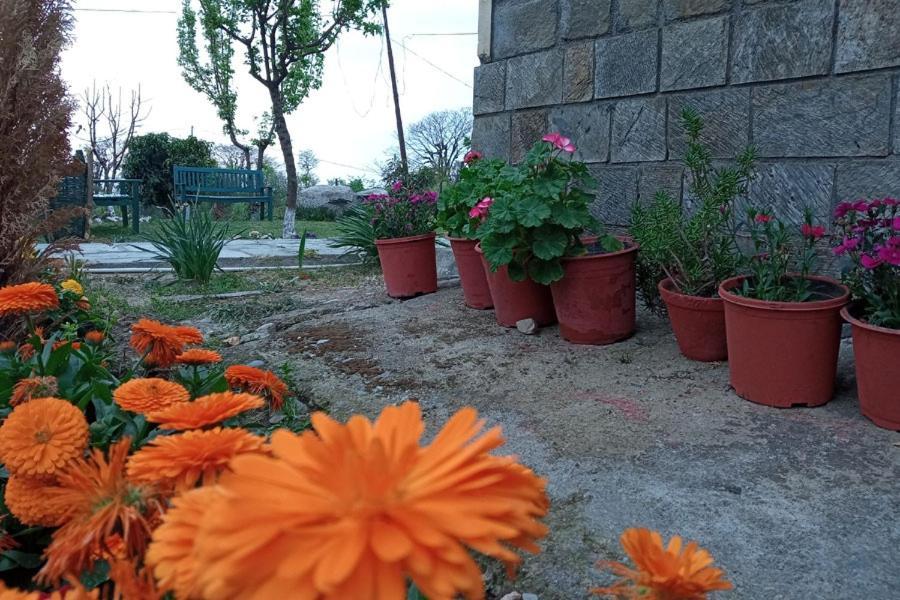 Nagri Resort Pālampur Extérieur photo