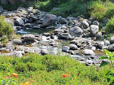 Nagri Resort Pālampur Extérieur photo